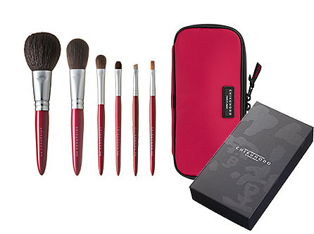Rシリーズ赤6点セットブラシ：セット内容